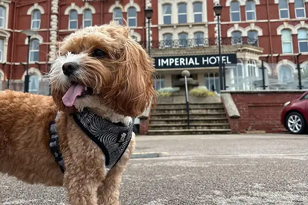 The Imperial Hotel