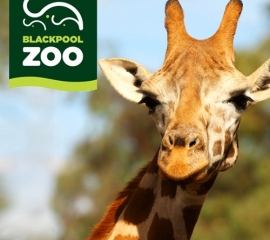 Blackpool Zoo